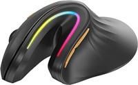 Protoarc-Ergonomic Mouse Wireless