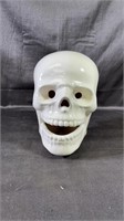 Porcelain Skull