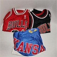 Chicago Bulls Jerseys and more