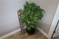 WALNUT PLANT STAND WITH SPIDER PLANT, WELCOME