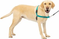 PetSafe Easy Walk Dog Harness, Teal - L