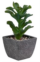 scott living 12" artificial cactus in clay pot