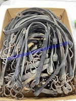 Lot of Bungee Straps
