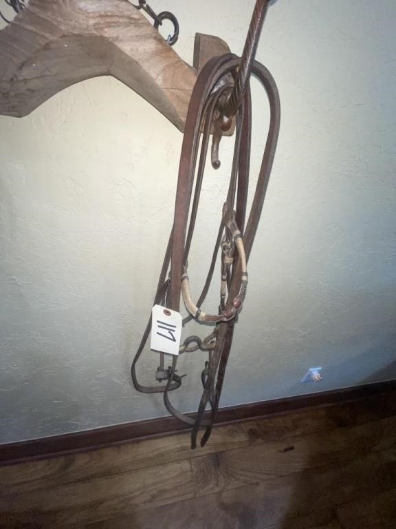 Custom Made Leather Bridle w/Buffalo Nickels