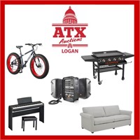 YOU ARE BIDDING IN THE LOGAN UTAH AUCTION