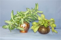 2 Artificial Ivy Plants In Copper & Brass Pots