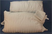 2 King Size Pillows