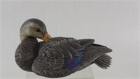 Gosset Wildlife Preening Black Duck 1492 / 2000