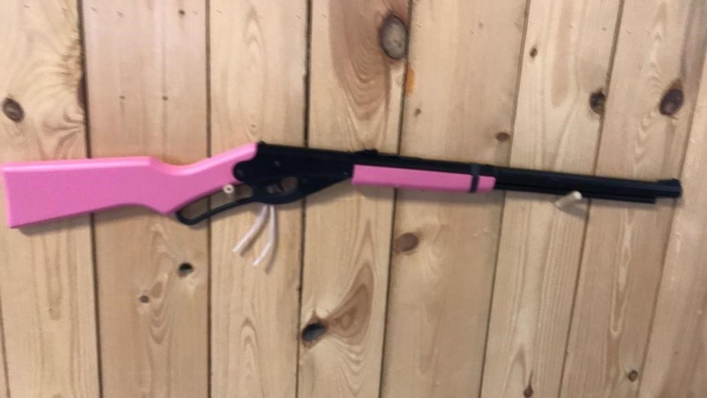Pink Daisy  BB gun
