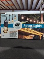Feit Electric 48 ft. Outdoor String Lights