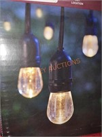Home Decorators Co 24' Outdoor String Lights