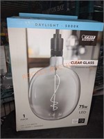 Feit Electric 75W Clear Glass Bulb
