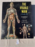 The Visible Man Kit