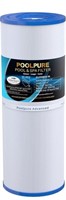 POOLPURE POOL & SPA REPLACEMENT FILTER