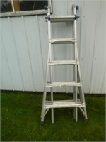 Combination Extension/Step Ladder