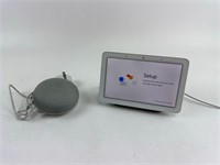 Google Nest Home & Nest Mini