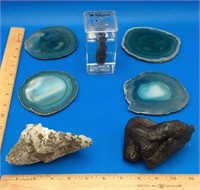 Dinosaur Tooth Crystal Geode Slabs