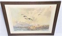 Framed Print of Canada Geese over marsh by