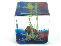 Murano Glass Cube "Aquarium" 2.5" x 2.5" x 2.5"H.