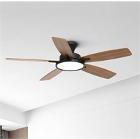 New Toyola ceiling fan with light