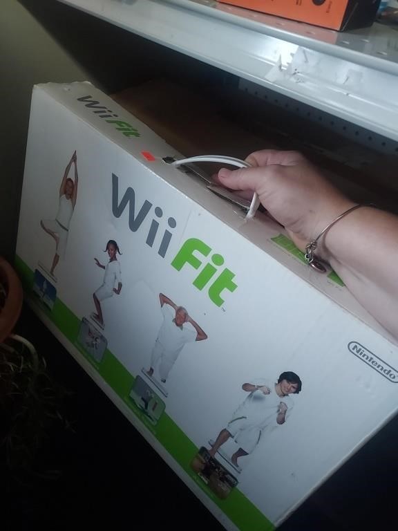 Wii Fit System- Untested