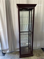 Contemporary Lighted Curio Cabinet with 2 Side