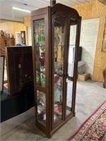 Contemporary 2 Door Lighted Curio Cabinet with