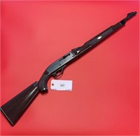 Remington 22 Long Rifle (LOT #125)