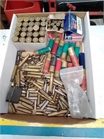 Miscellaneous brass and ammo
