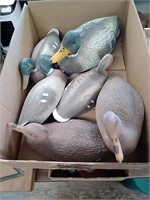 Group of duck decoys