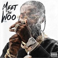 Meet The Woo 2 (2LP Vinyl)