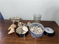 Large amount of shells, clock and miscellaneous