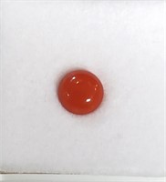 Italian Red Coral Gemstone 0.93 ct