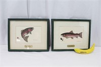 2 Fly Fishing Wall-hangings with Hand Tied Lures