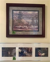 Framed Duck Photographs Woodland Wings Signed