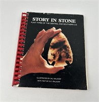 Story In Stone Flint Types Central Southern US