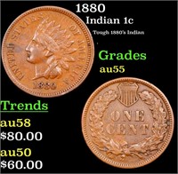 1880 Indian Cent 1c Grades Choice AU