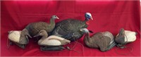 Turkey & Duck Decoys