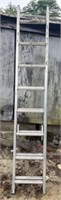 Werner 16ft Aluminum Extension Ladder