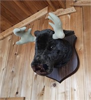 Northwoods decor incl. stuffed moose head 24"