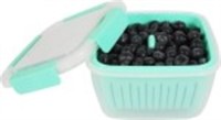 Berry Keeper Box Container-Pack of 2
