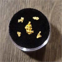 Alaska Gold Nuggets #2