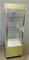 Tall Lighted Glass Display Case