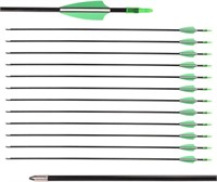 LWANO 28" Fiberglass Arrows - Archery Practice Ta