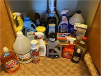 HOUSEHOLD CLEANERS