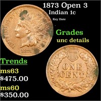 1873 Open 3 Indian Cent 1c Grades Unc Details