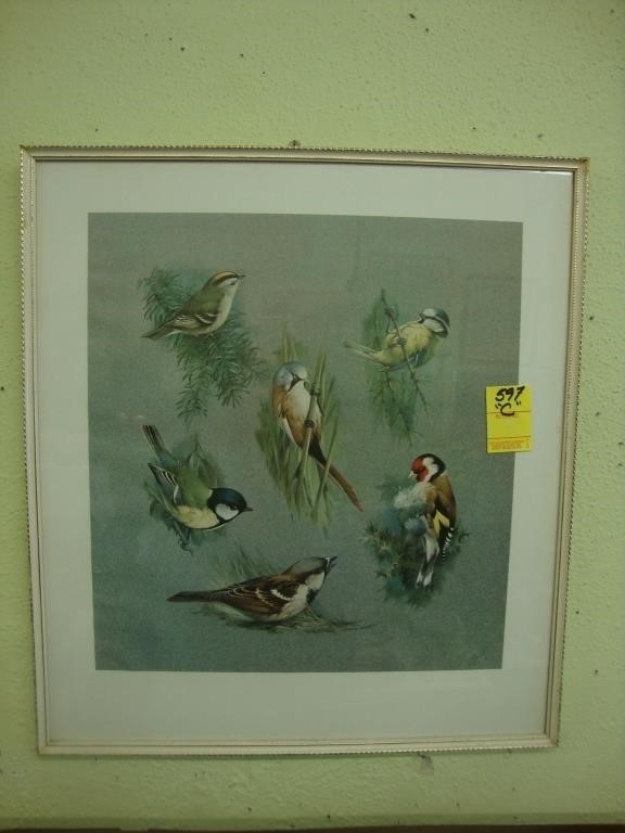 Picture of 6 birds, 16” x 19” in white frame.
