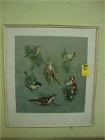 Picture of 6 birds, 16” x 19” in white frame.