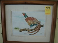Pen and ink watercolor drawing of a pheasant,