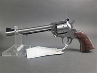 Ruger .22 Caliper Revolver